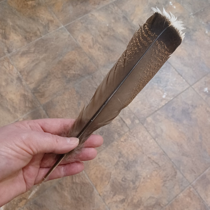 Smudging Feather