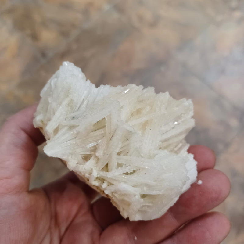 Scolecite