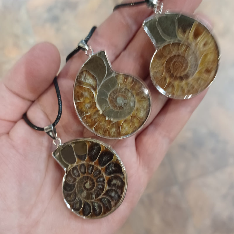 Ammonite Necklace