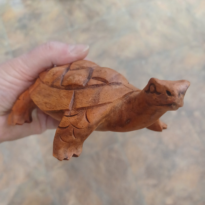 Wooden Turtle