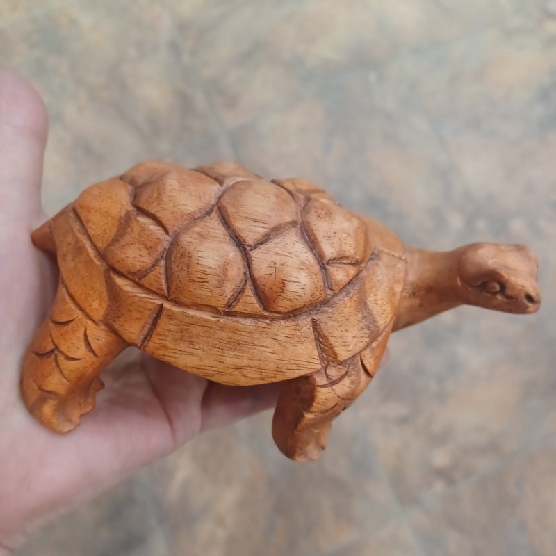 Wooden Turtle