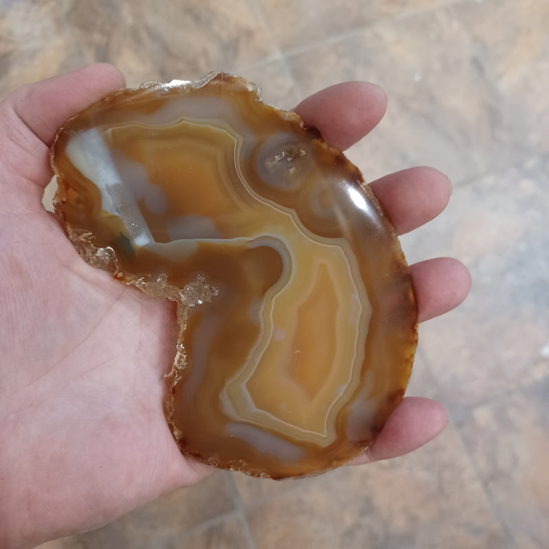 Brown Agate Slice