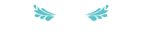The Shiny Company Winnipeg